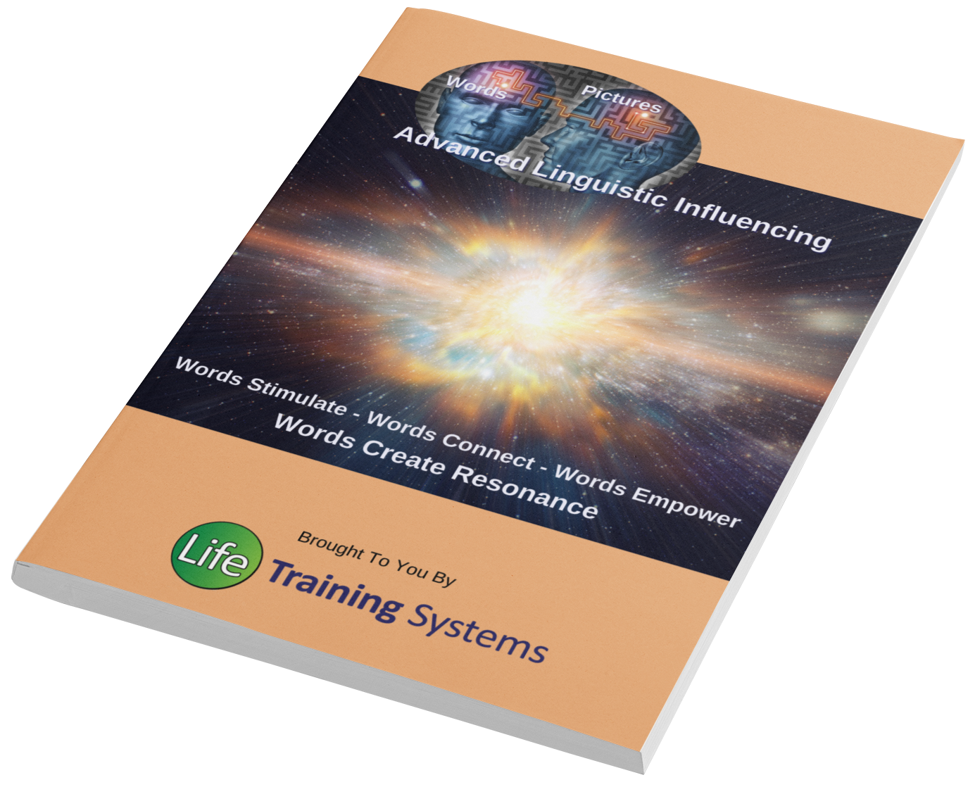 ALI - NLP Training Manual